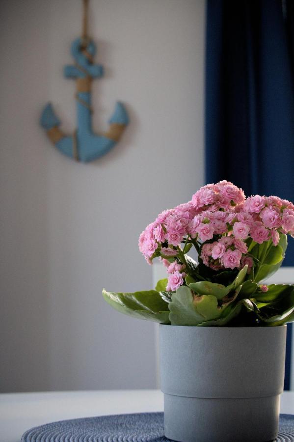 Apartamenty Marynarskie Debina  エクステリア 写真